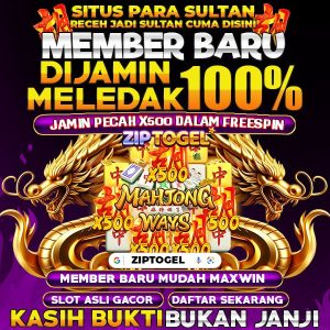 link ziptogel