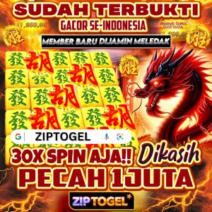 link ziptogel